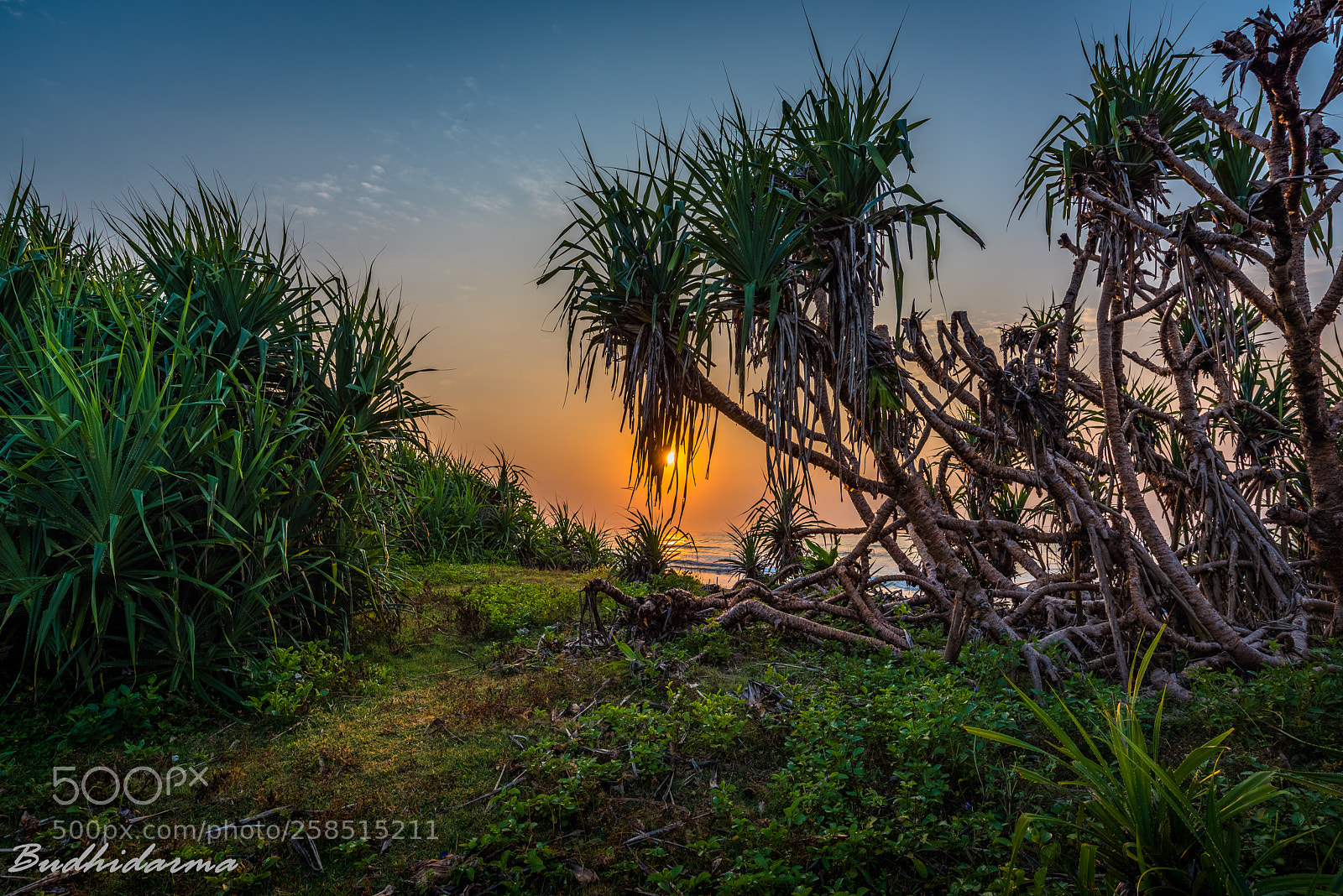 Nikon D810 sample photo. Ujung genteng photography