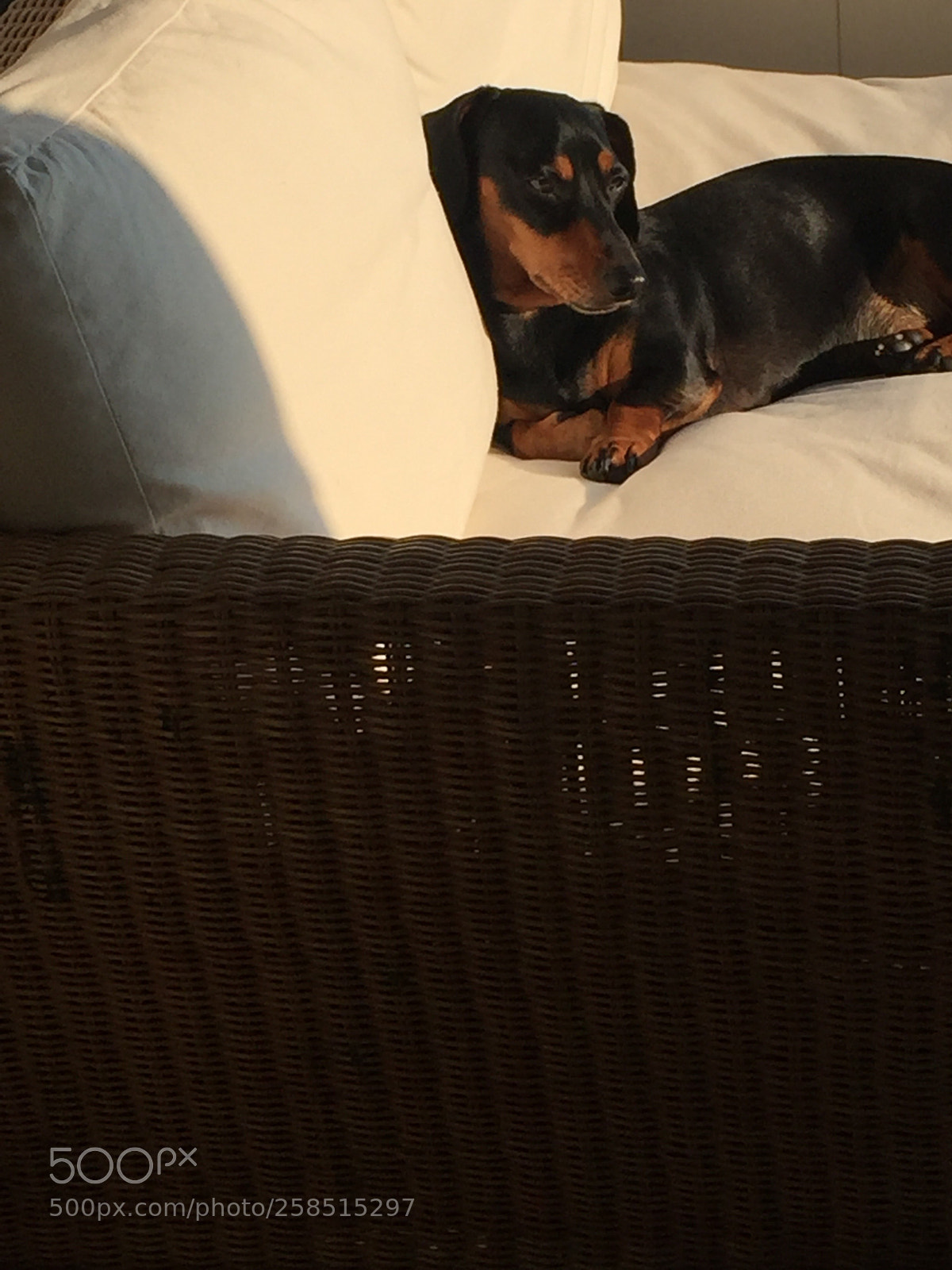Apple iPhone 6 sample photo. Tomando el sol  photography