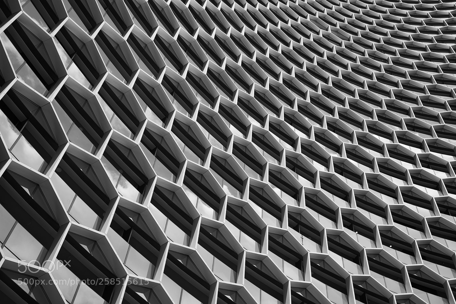 Sony a7 II sample photo. A hive as a photography