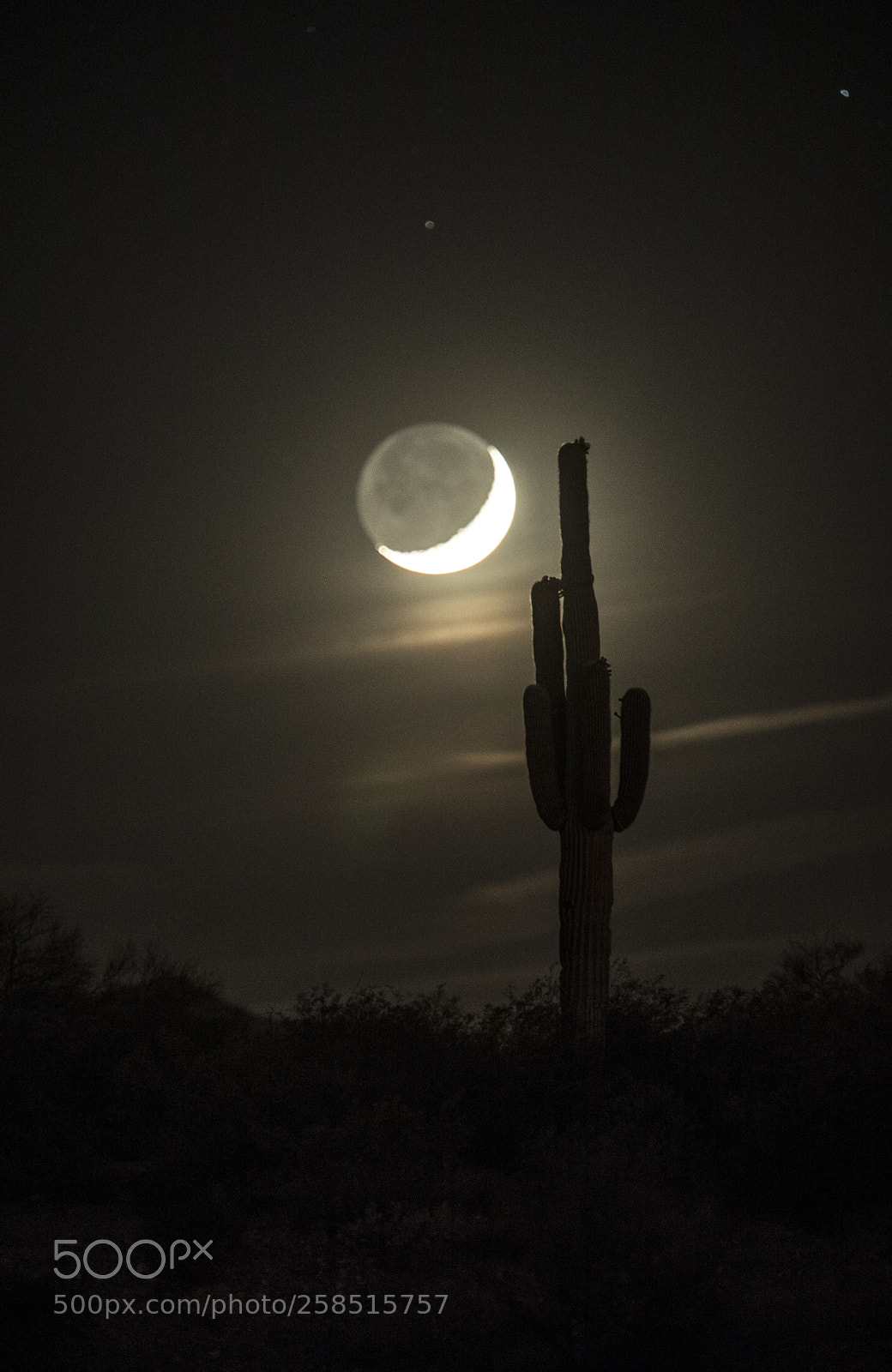 Canon EOS 5D Mark IV sample photo. Moon & saguaro photography