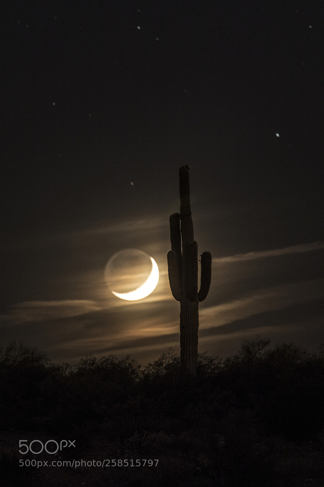 Canon EOS 5D Mark IV sample photo. Moon & saguaro photography
