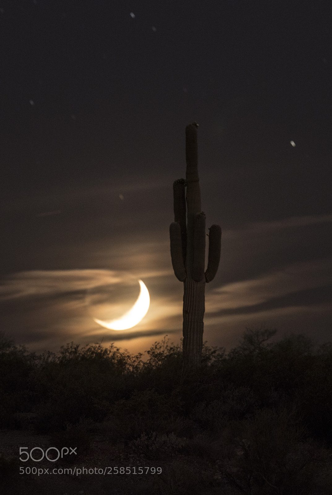Canon EOS 5D Mark IV sample photo. Moon & saguaro photography