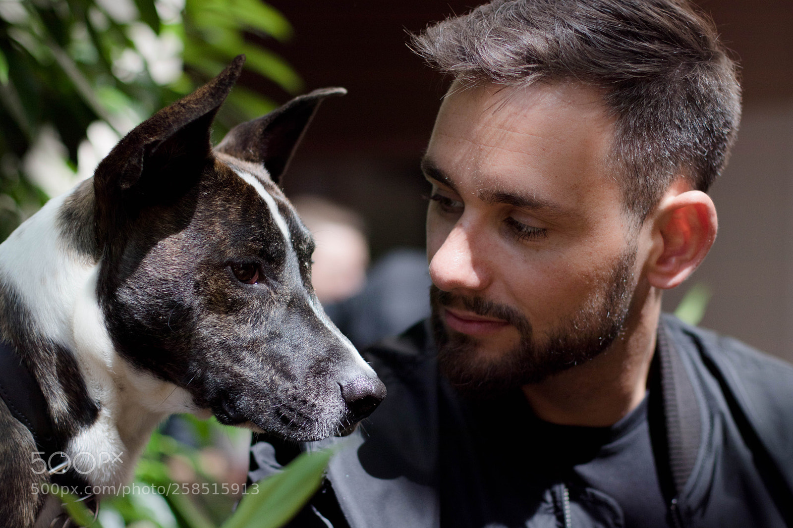 Canon EOS 77D (EOS 9000D / EOS 770D) sample photo. Daniel  und medo photography