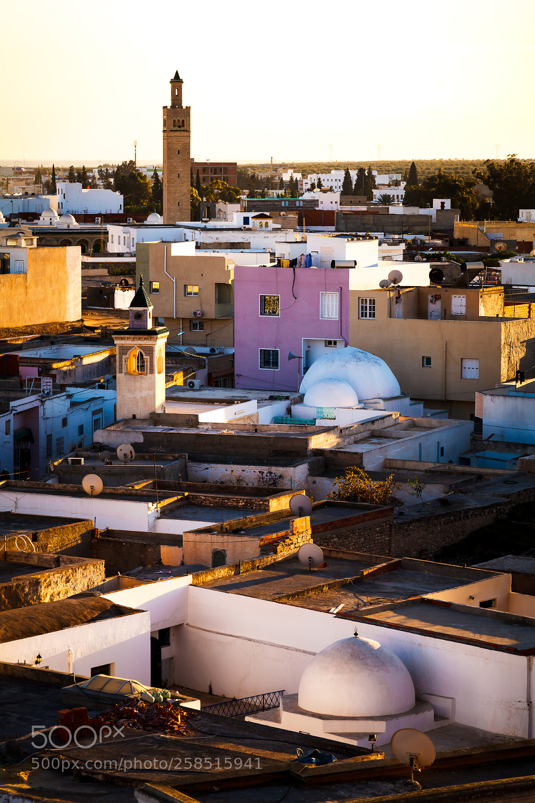Canon EOS 5D Mark II sample photo. Tunisia – el jem photography