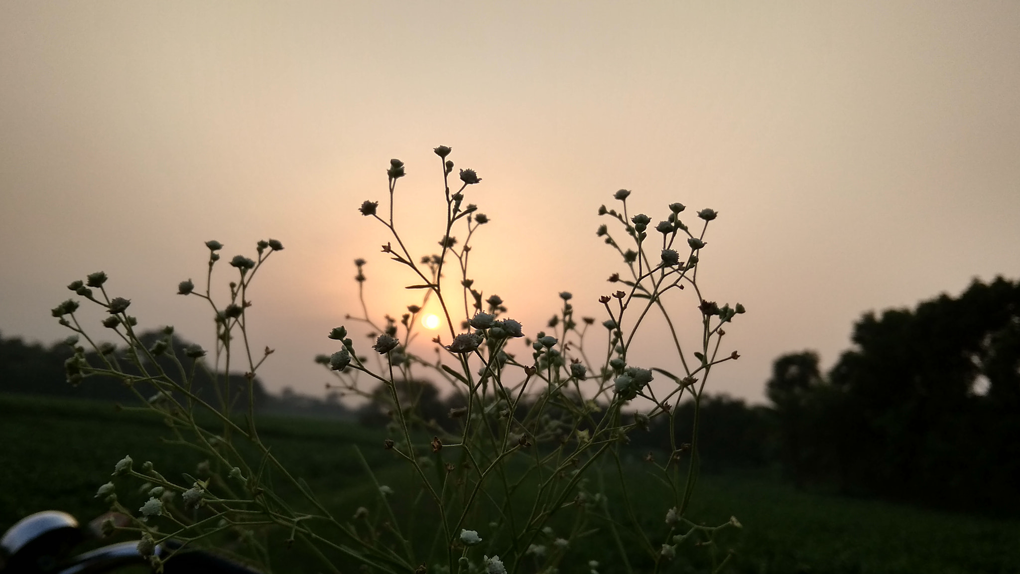 Xiaomi Redmi 5A sample photo. Sun ⛅ photography