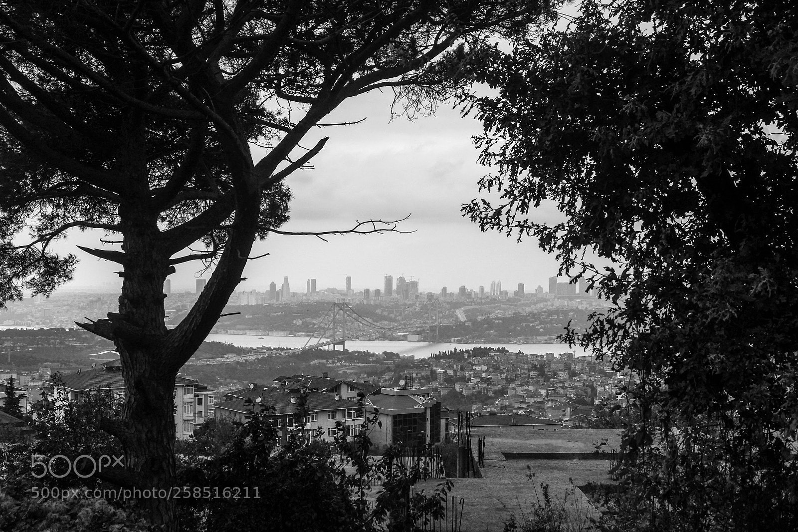 Canon EOS 550D (EOS Rebel T2i / EOS Kiss X4) sample photo. City of stanbul b photography