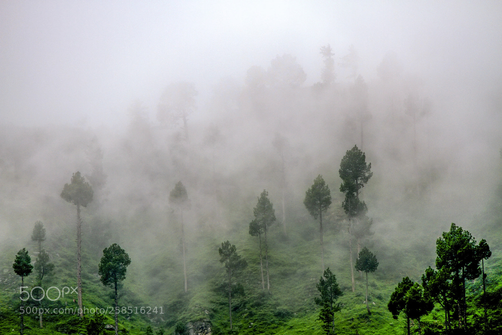 Canon EOS 7D sample photo. Descending the heavens photography