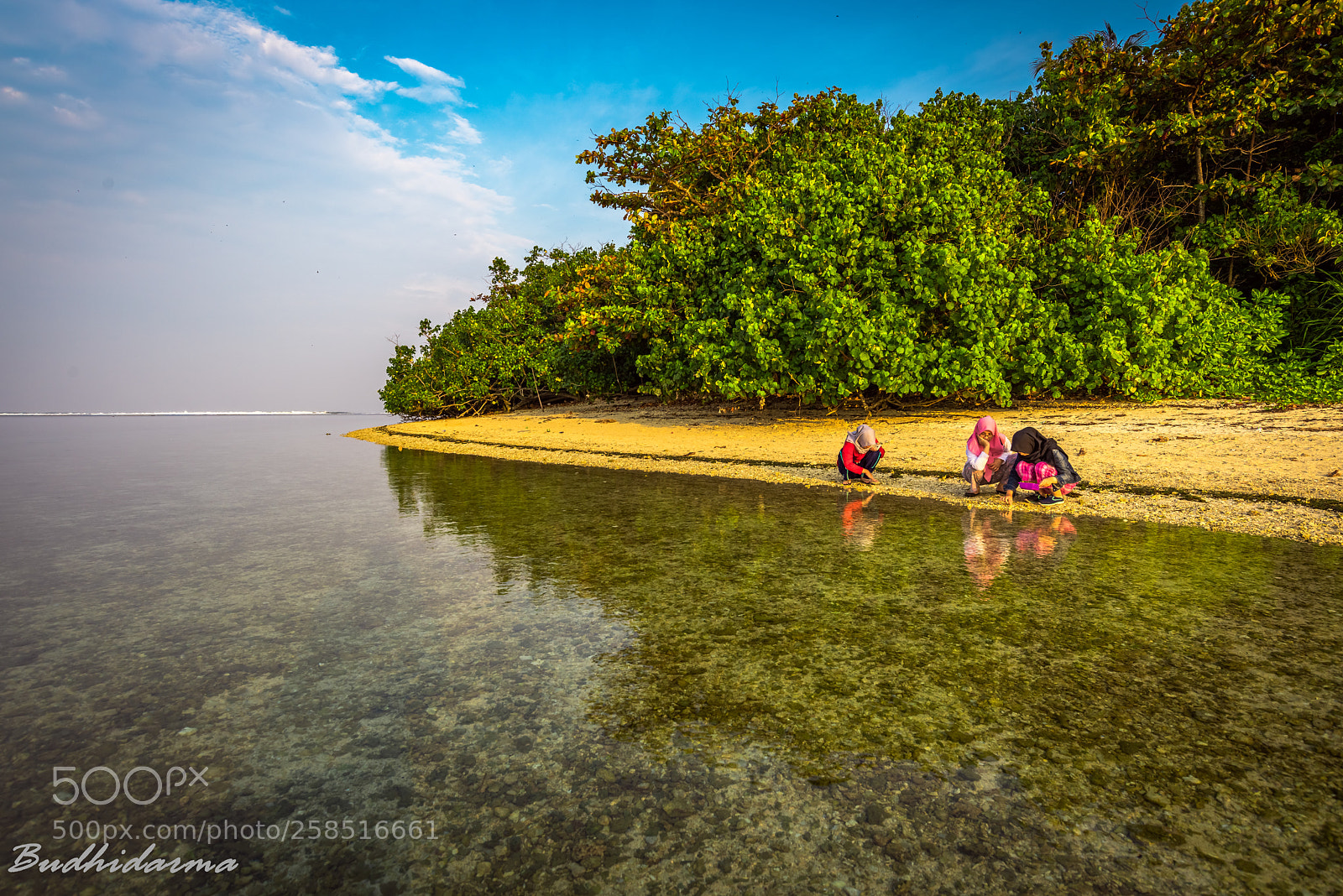 Nikon D810 sample photo. Ujung genteng photography