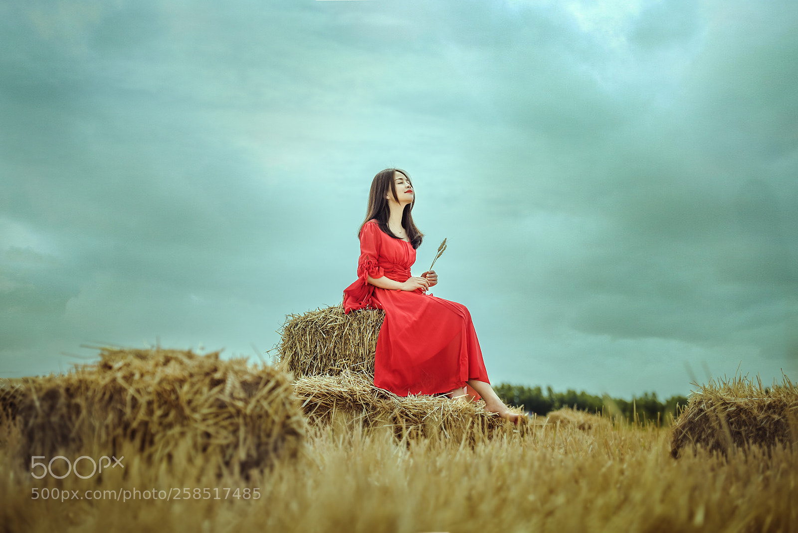 Nikon D810 sample photo. Untitled photography
