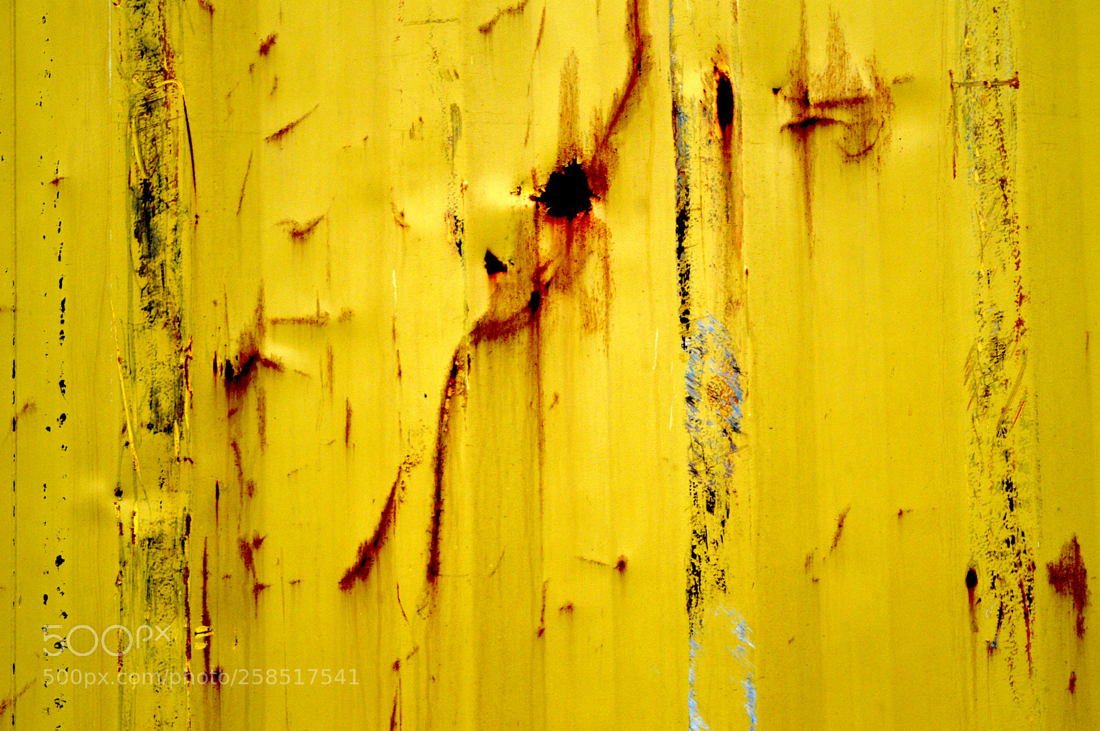 Nikon D3200 sample photo. Yellow photography