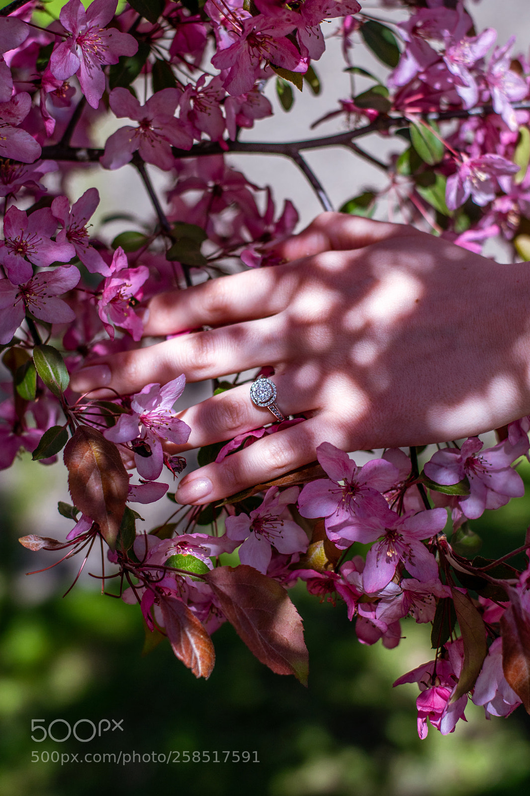 Nikon D3300 sample photo. Greta & rūta photography