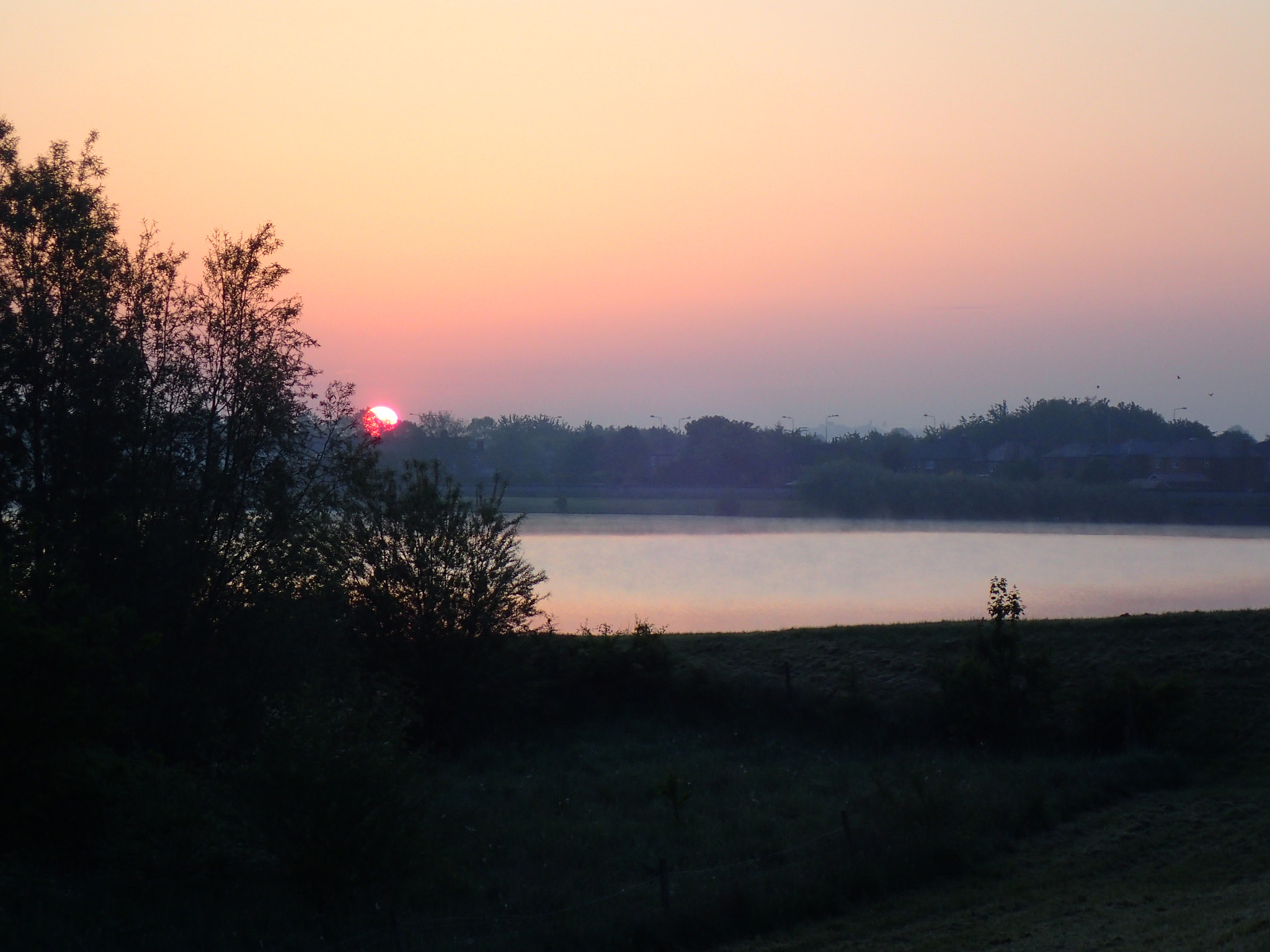 Olympus TG-4 sample photo. Nature is awesome photography