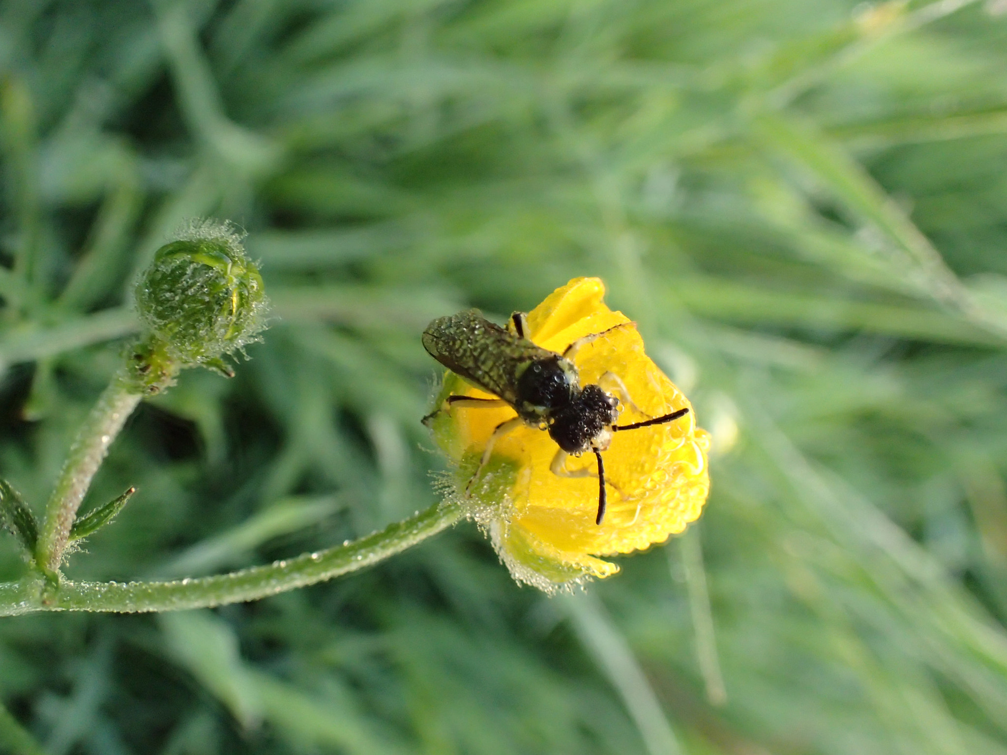 Olympus TG-4 sample photo. Nature is awesome photography