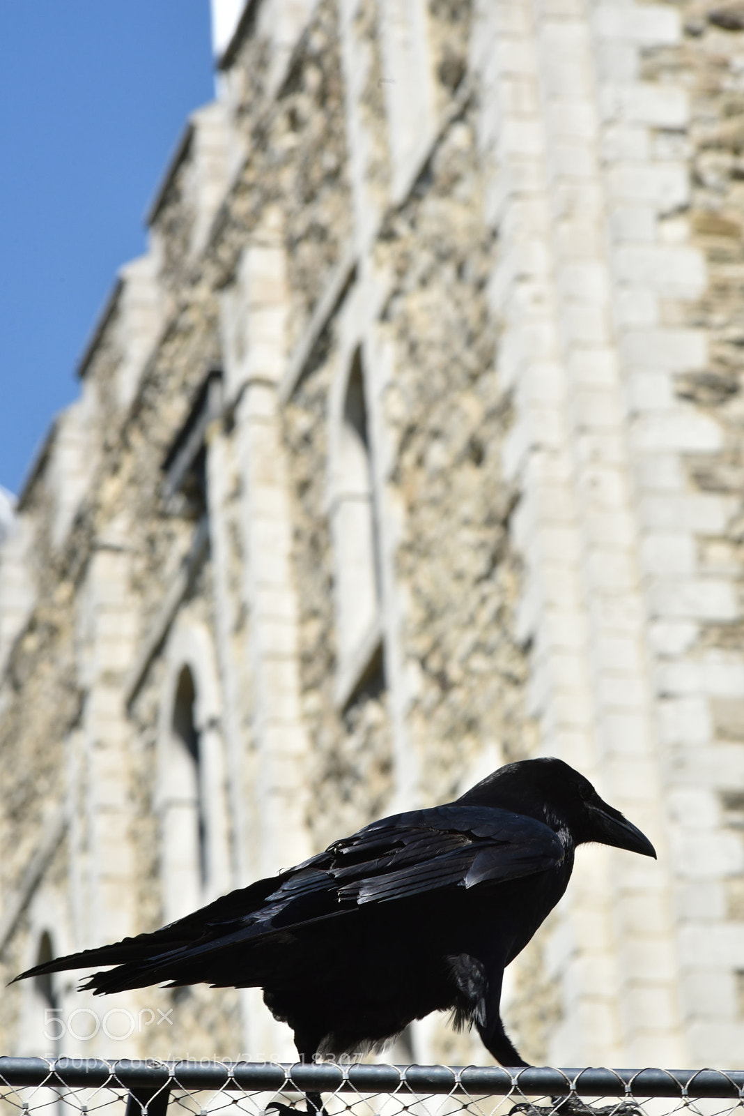 Nikon D750 sample photo. London tower photography