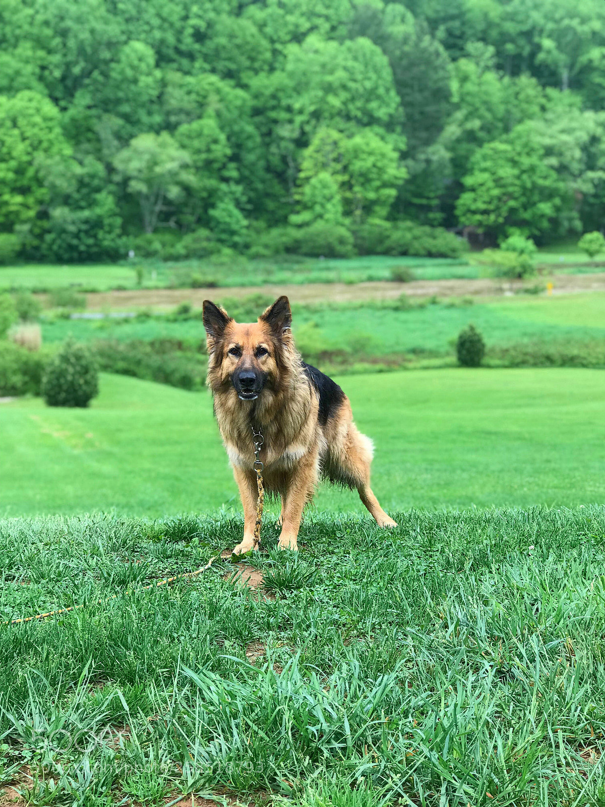Apple iPhone 7 Plus sample photo. Processed with rookie cam photography
