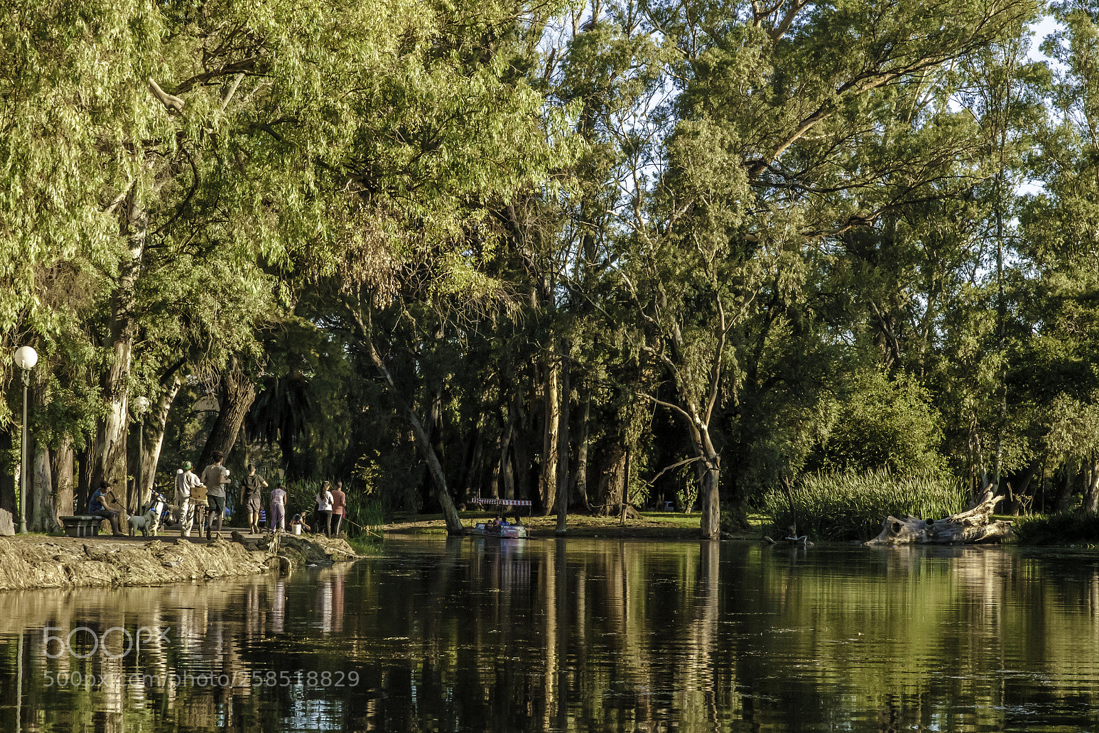 Canon EOS 50D sample photo. Sarmiento park photography