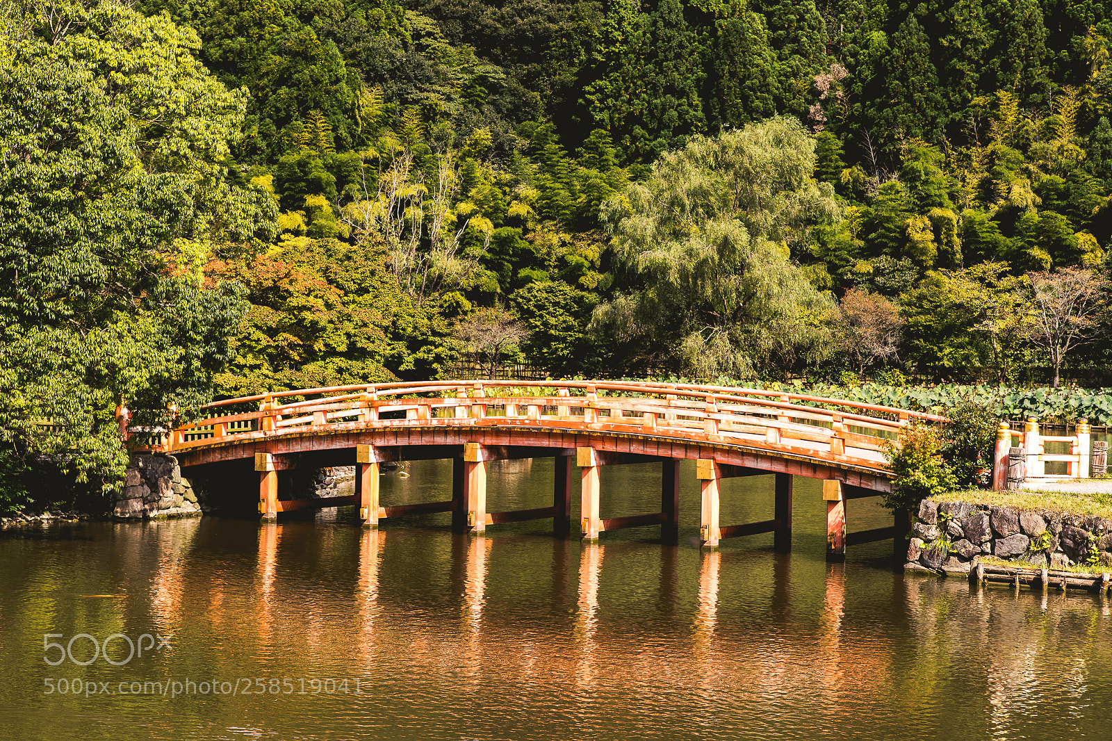 Canon EOS 6D sample photo. The bridge photography