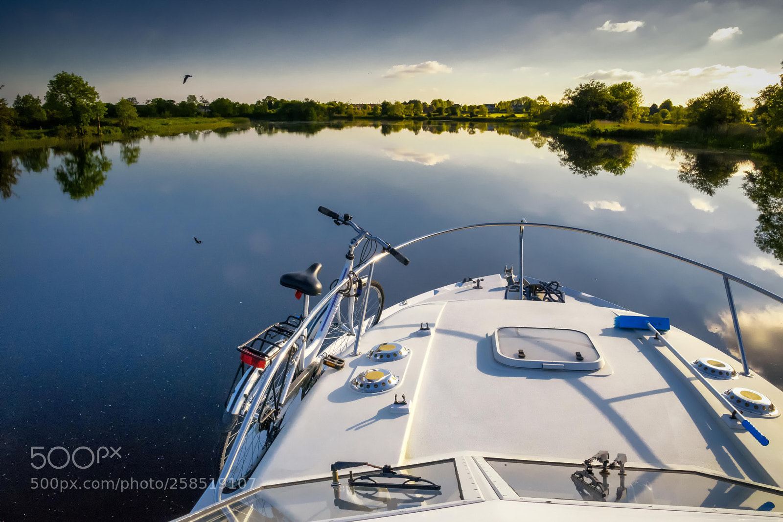 Nikon D5300 sample photo. Evening on the shannon photography
