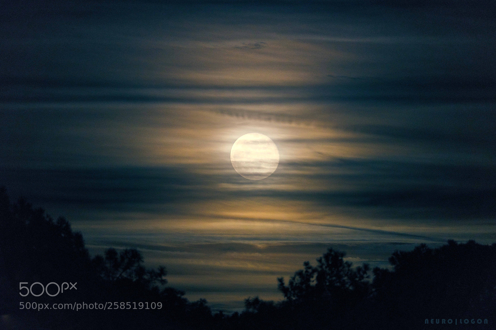 Sony a7R II sample photo. Wolves howl photography