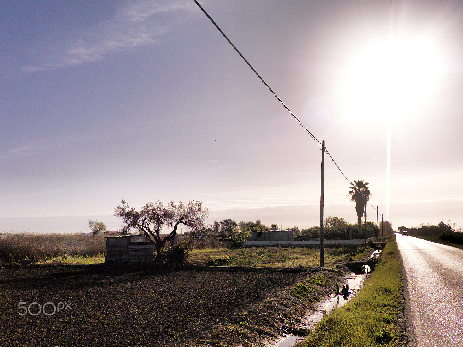 Hasselblad CF-39 sample photo. Delta de l'ebre photography