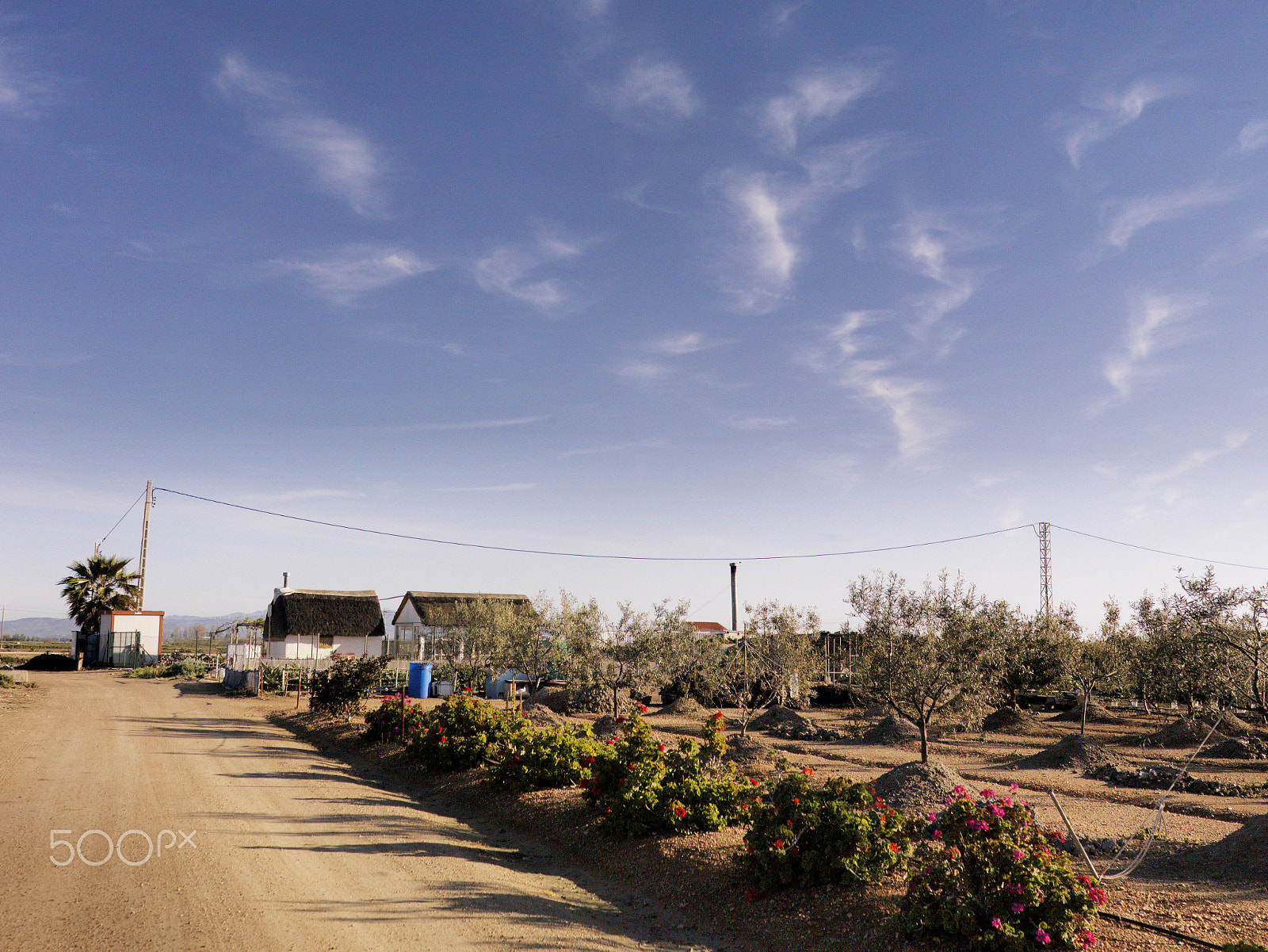 Hasselblad CF-39 sample photo. Delta de l'ebre photography