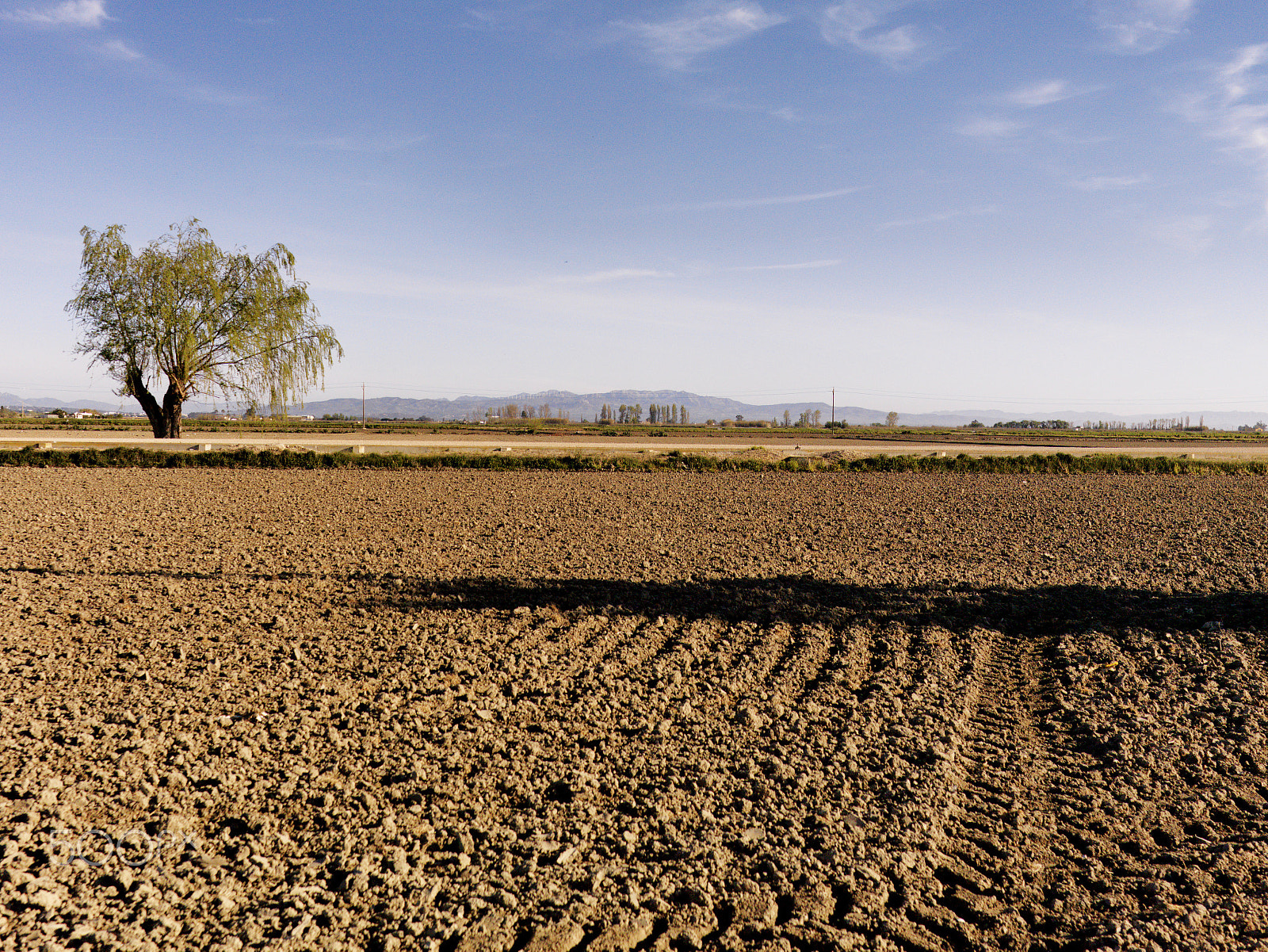 Hasselblad CF-39 sample photo. Delta de l'ebre photography