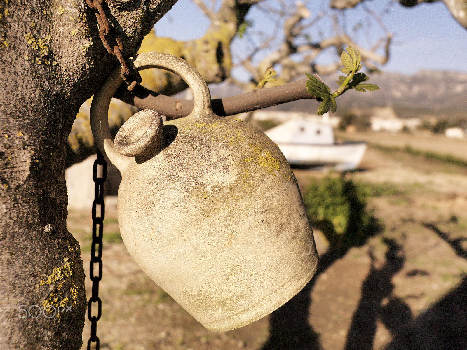 Hasselblad CF-39 sample photo. Delta de l'ebre photography