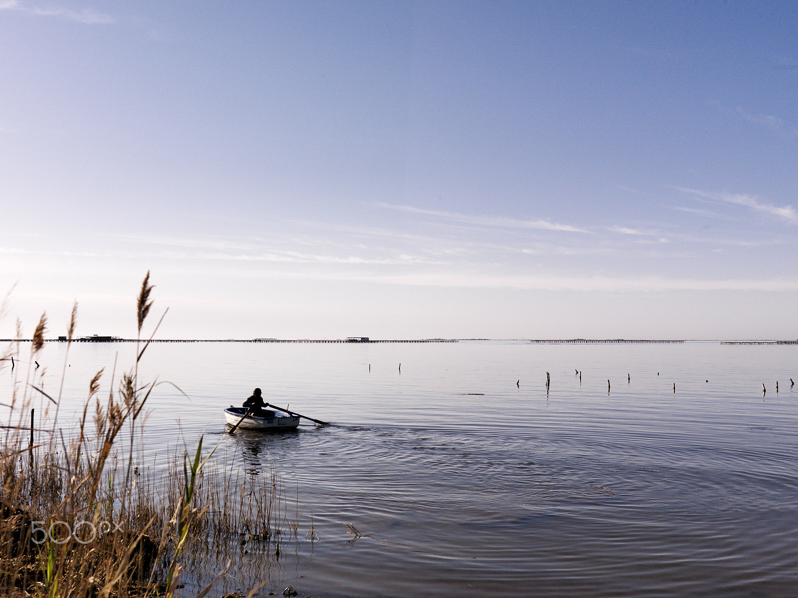 Hasselblad CF-39 sample photo. Delta de l'ebre photography