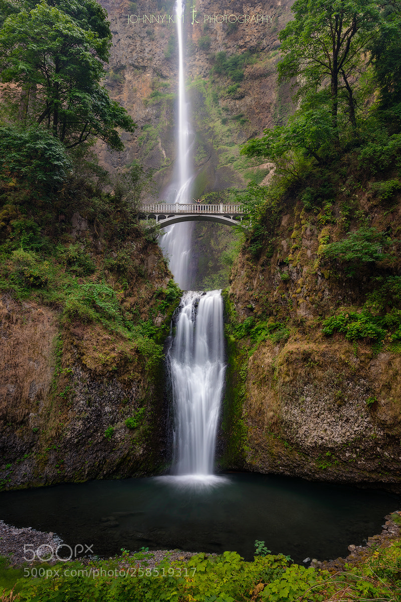 Nikon D810 sample photo. Poured out for you  photography