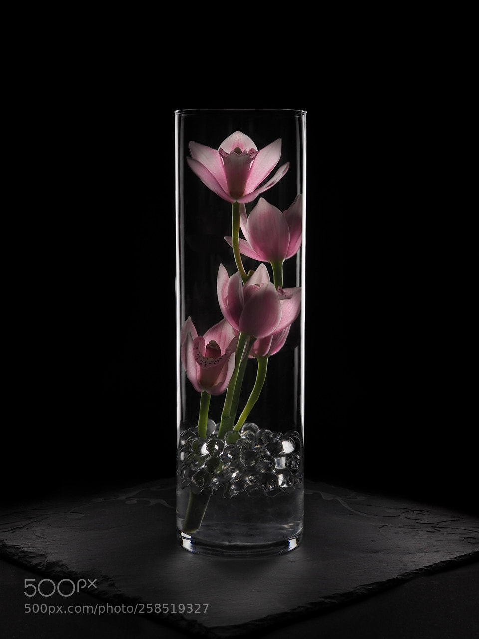 Olympus OM-D E-M10 II sample photo. Still life photography