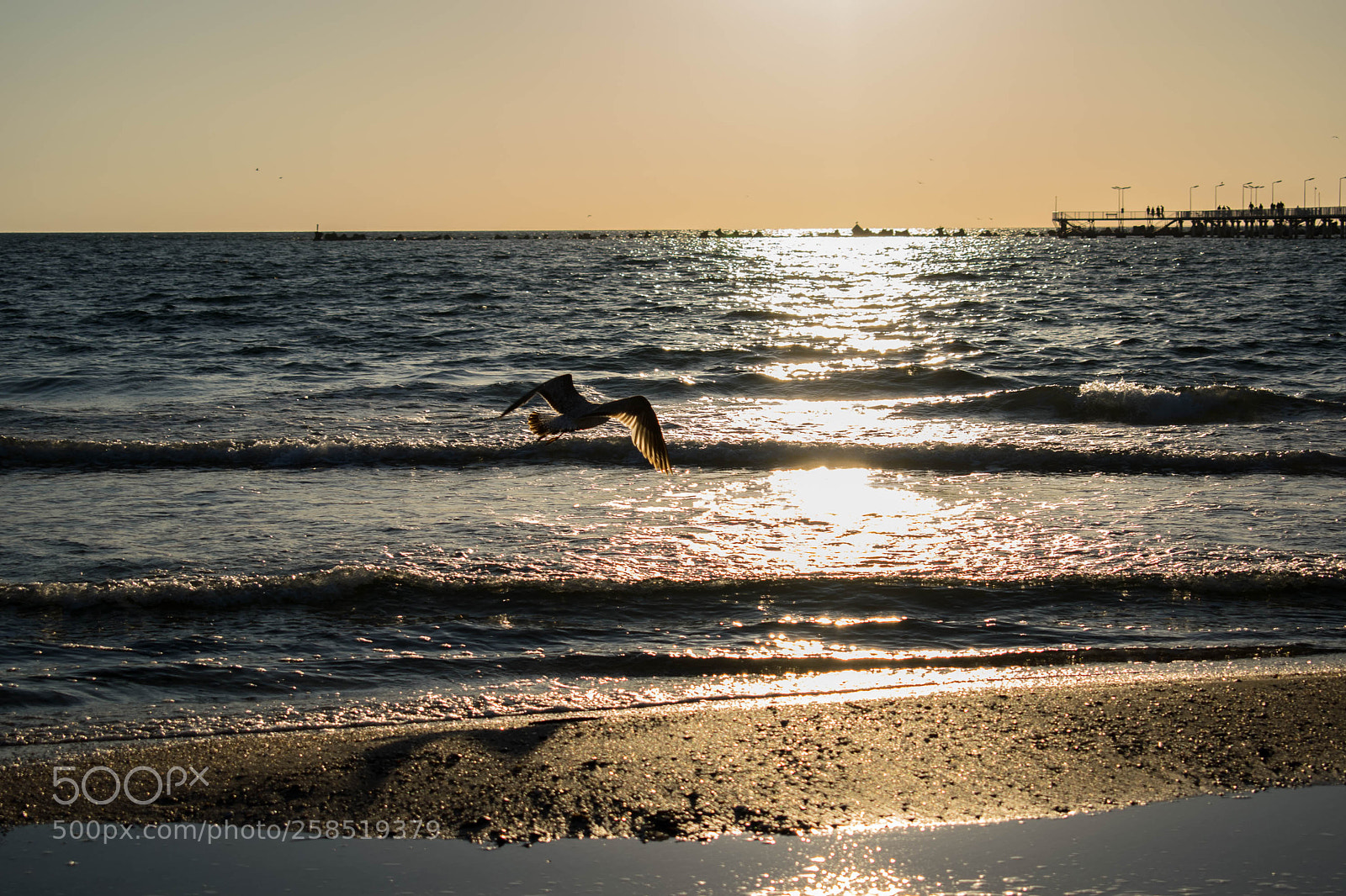 Nikon D5300 sample photo. Untitled photography