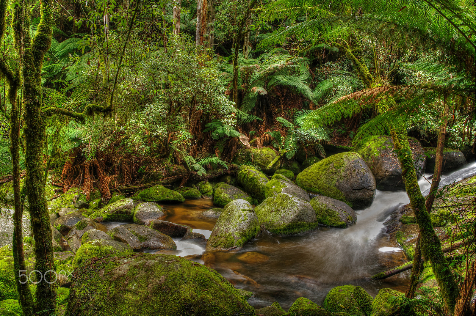 Pentax K-7 sample photo. Little toorongo river photography