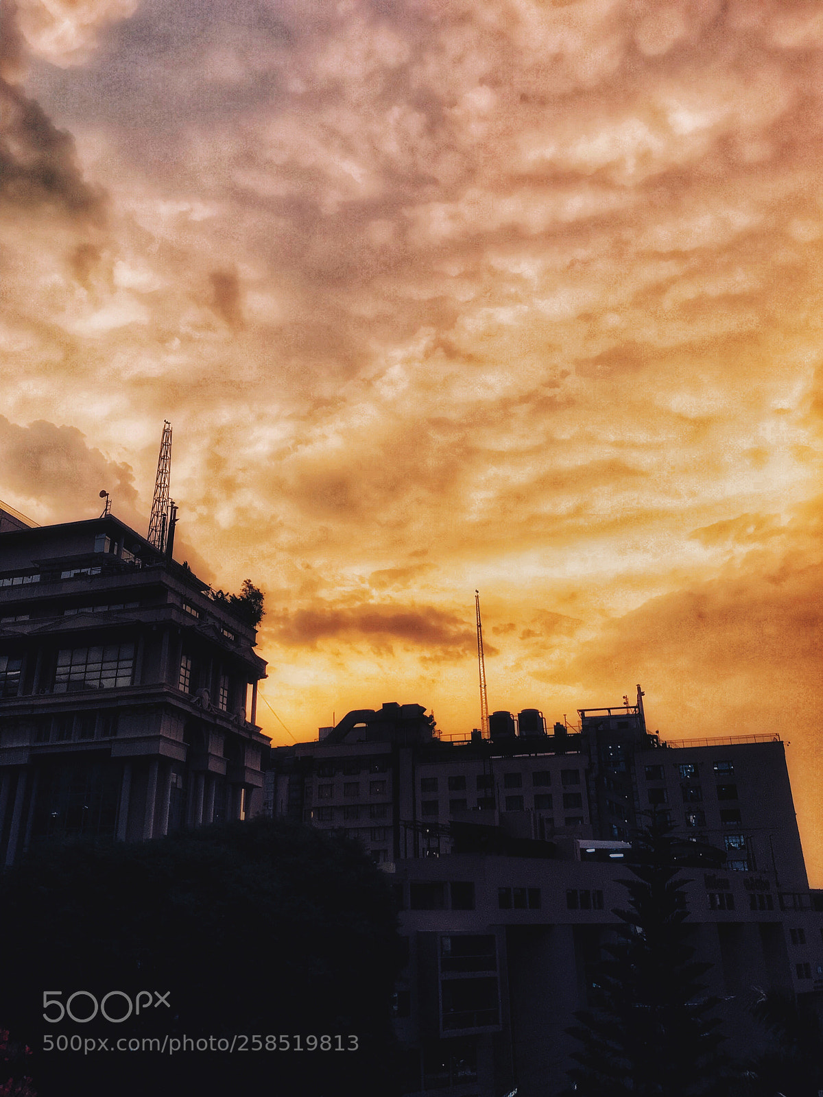 Apple iPhone 7 sample photo. Yellow sunset  photography