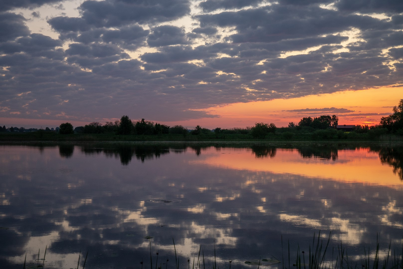 Panasonic Lumix DMC-GX1 sample photo. Morning at the pond  Утро на пруду photography