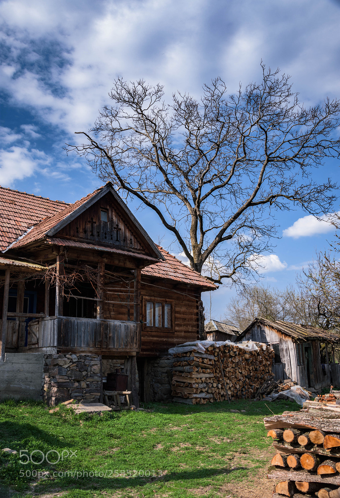 Nikon D7200 sample photo. Simple life in breb photography