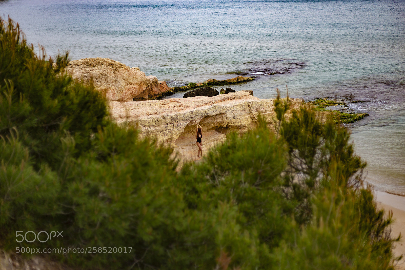 Canon EOS 6D sample photo. In rock photography