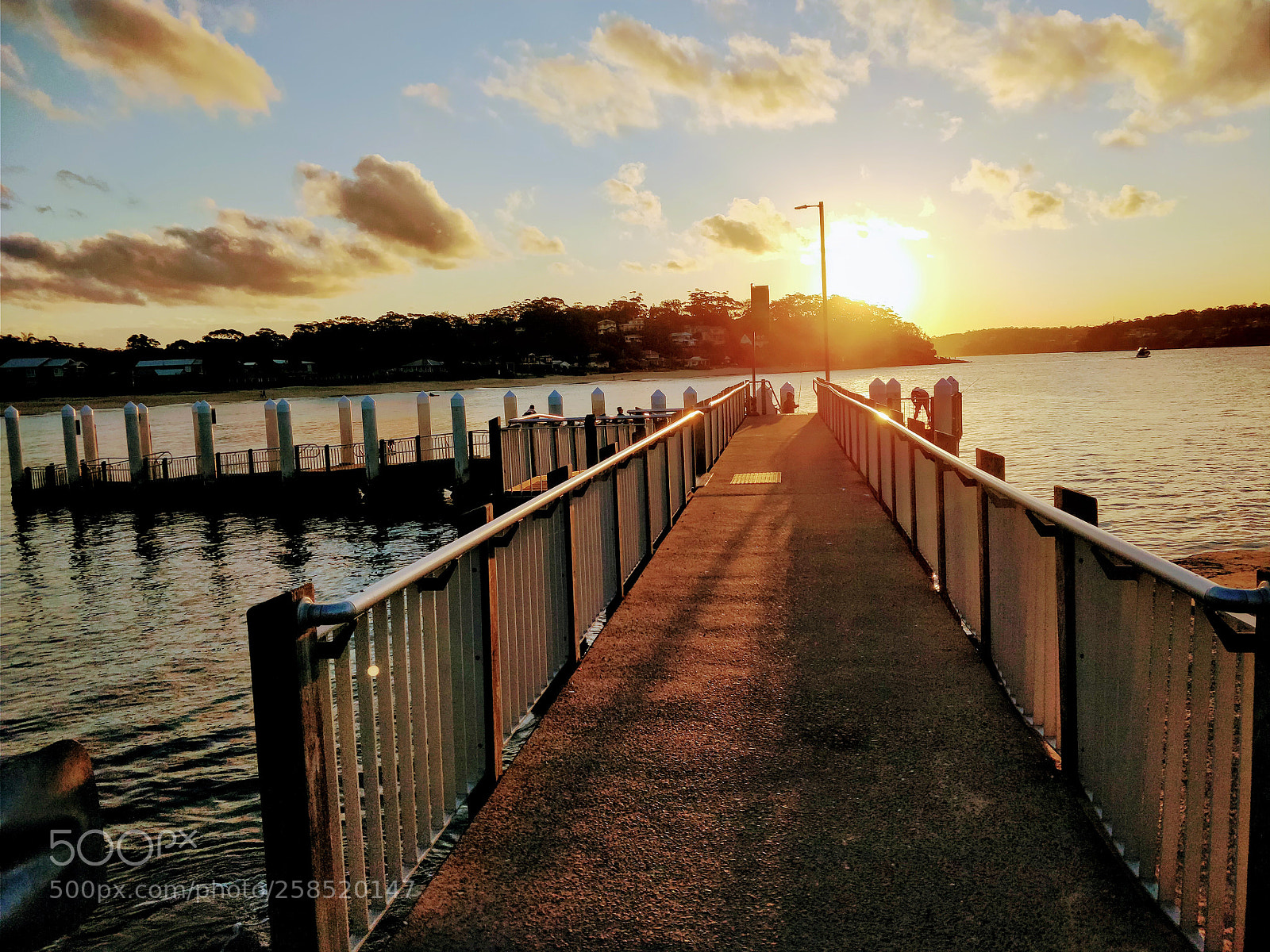 OnePlus 5T sample photo. Untitled photography