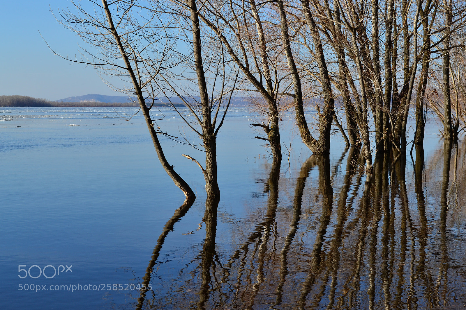 Nikon D3100 sample photo. Spring on the volga photography