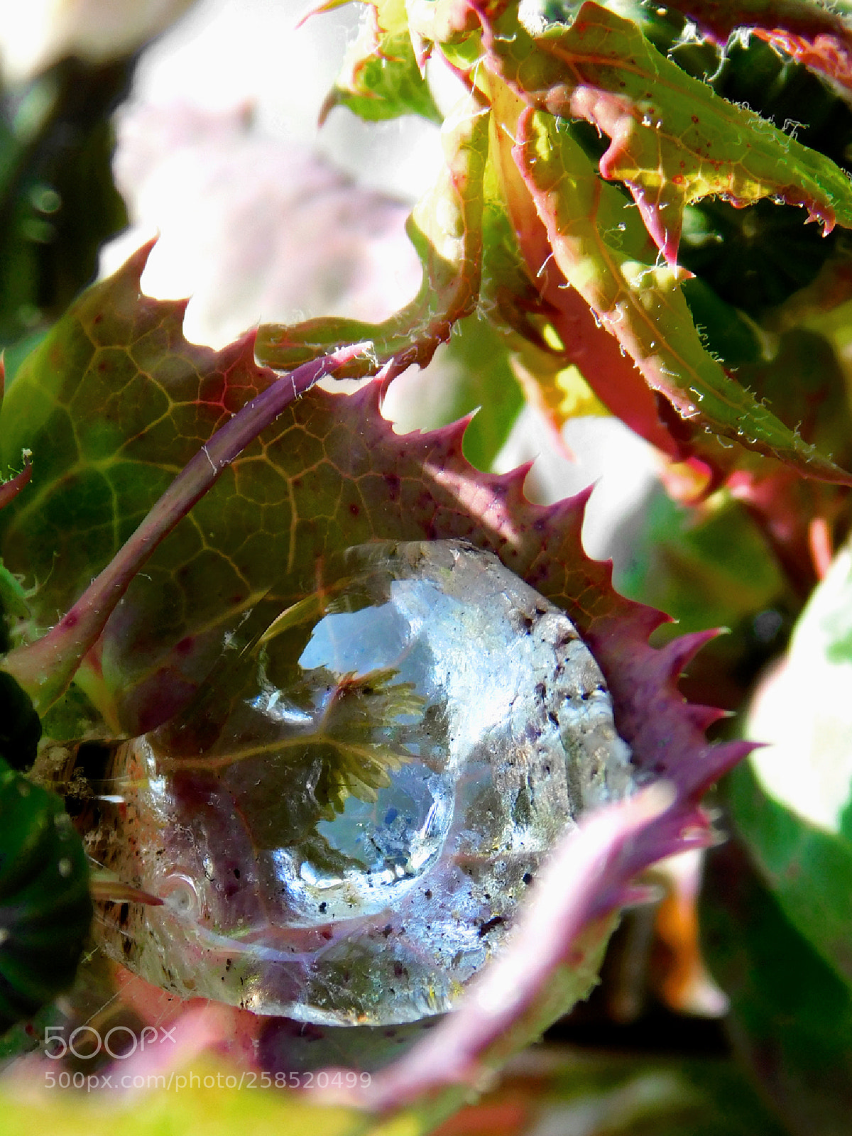 Nikon Coolpix B500 sample photo. Reflexions photography