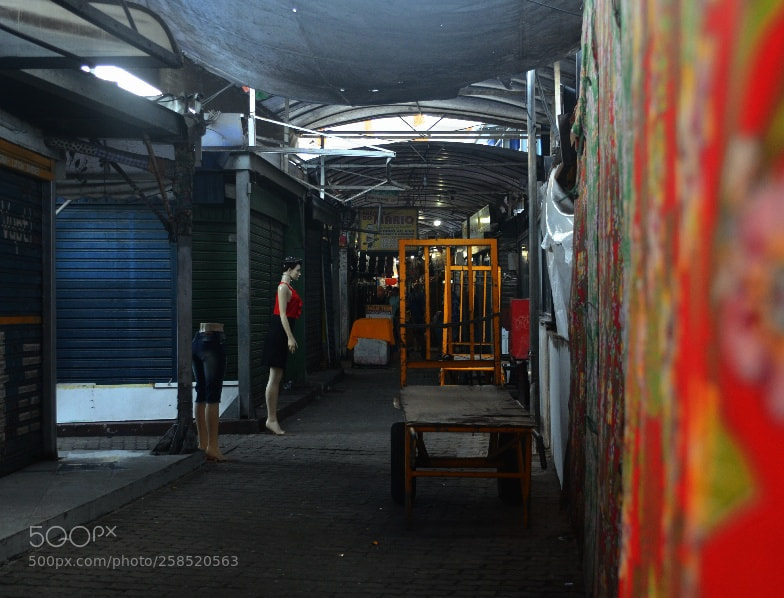 Nikon D5100 sample photo. Feira de s o photography