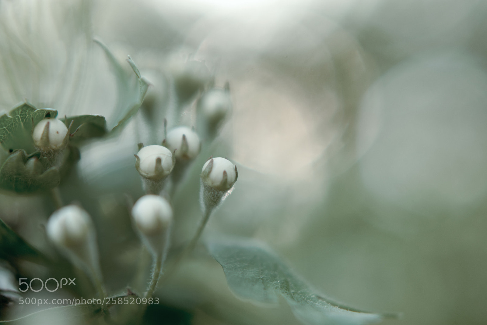 Nikon D3400 sample photo. Spring photography