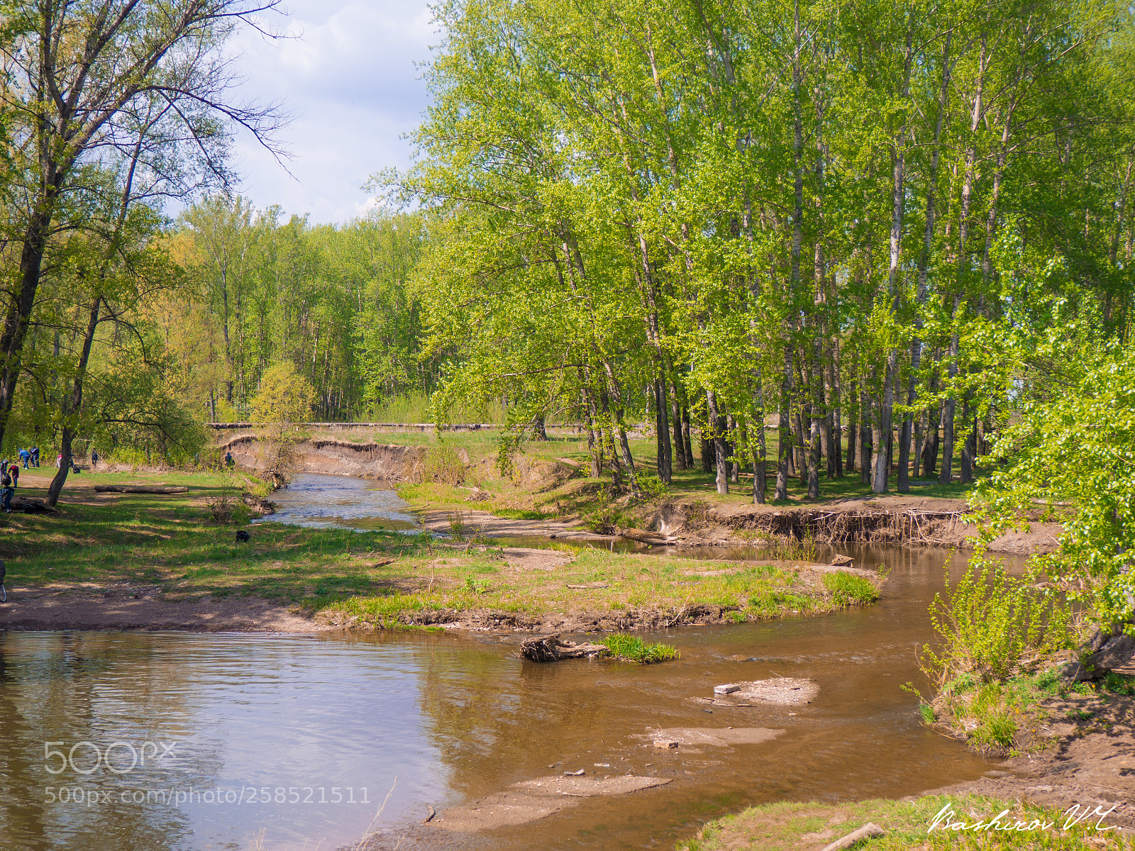 Olympus OM-D E-M10 II sample photo. On the river photography