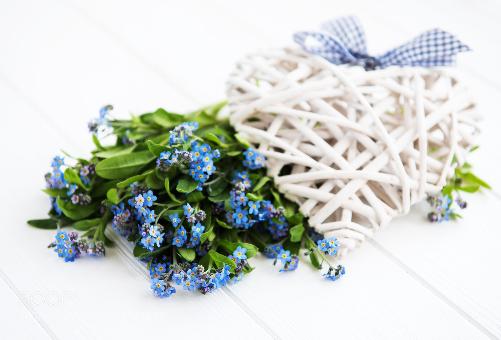 Nikon D750 sample photo. Forget-me-nots flowers border photography
