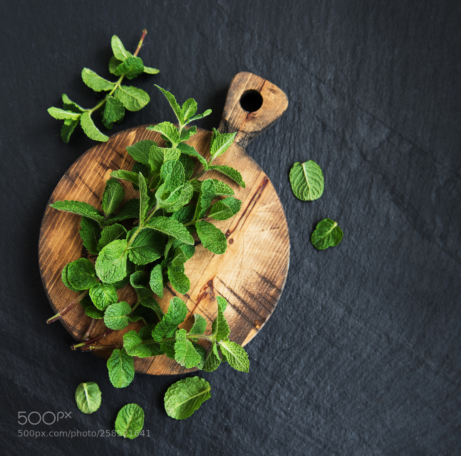 Nikon D750 sample photo. Green mint on a photography