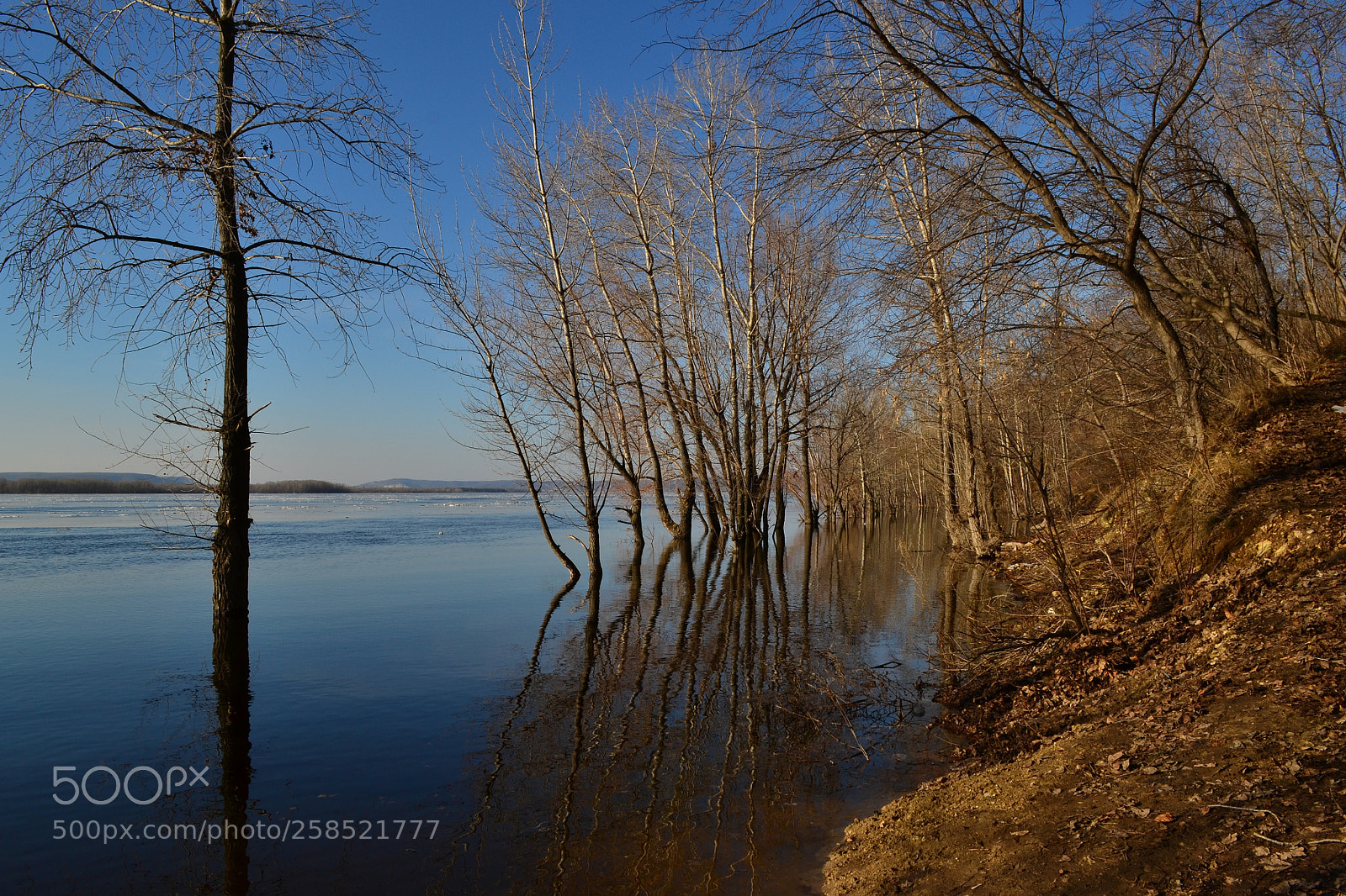 Nikon D3100 sample photo. Spring on volga-2 photography