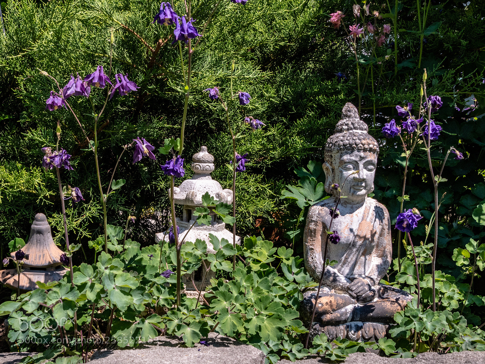Panasonic Lumix DC-G9 sample photo. Buddha im garten photography