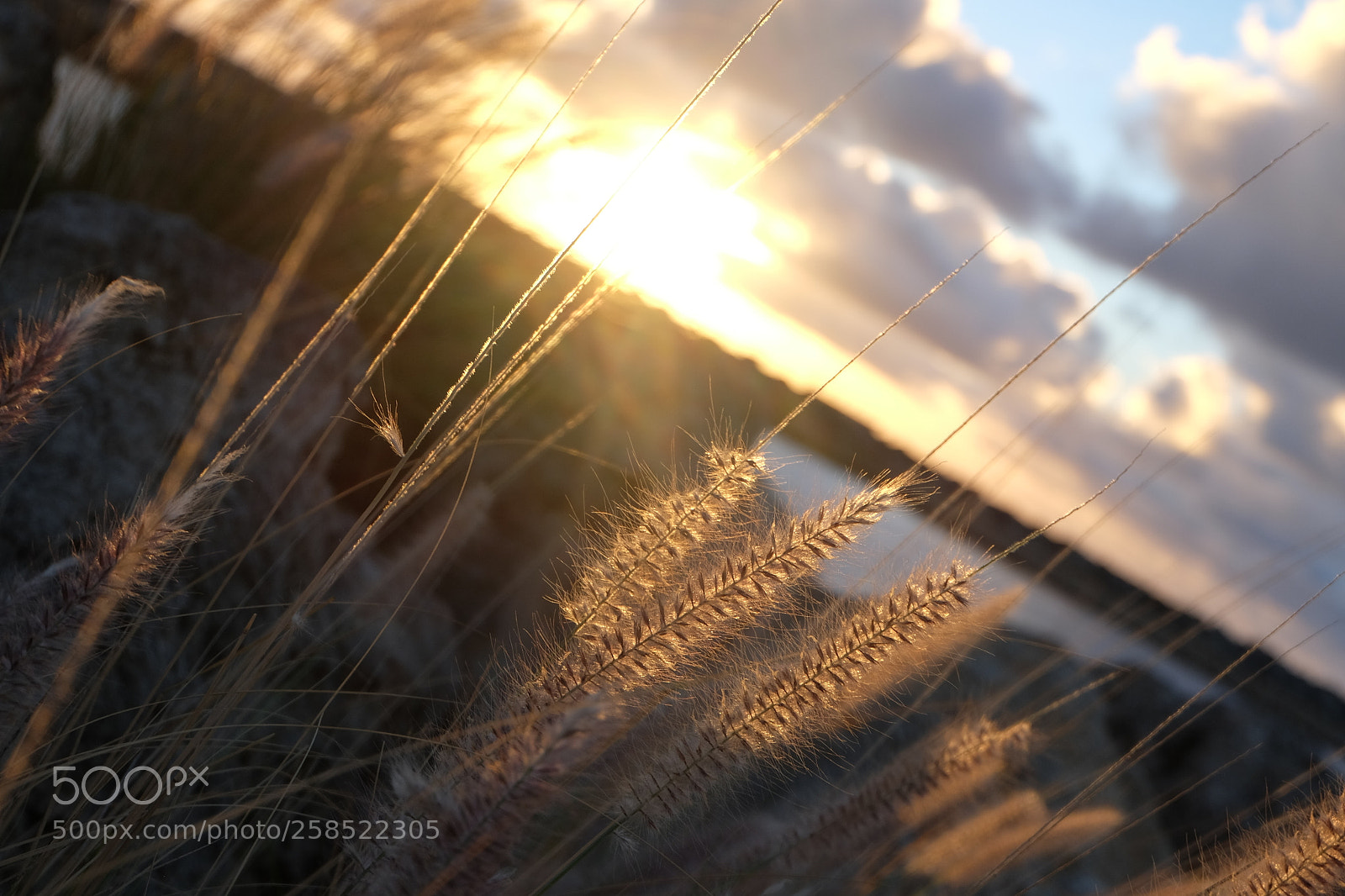Fujifilm X-M1 sample photo. Australian sunset photography