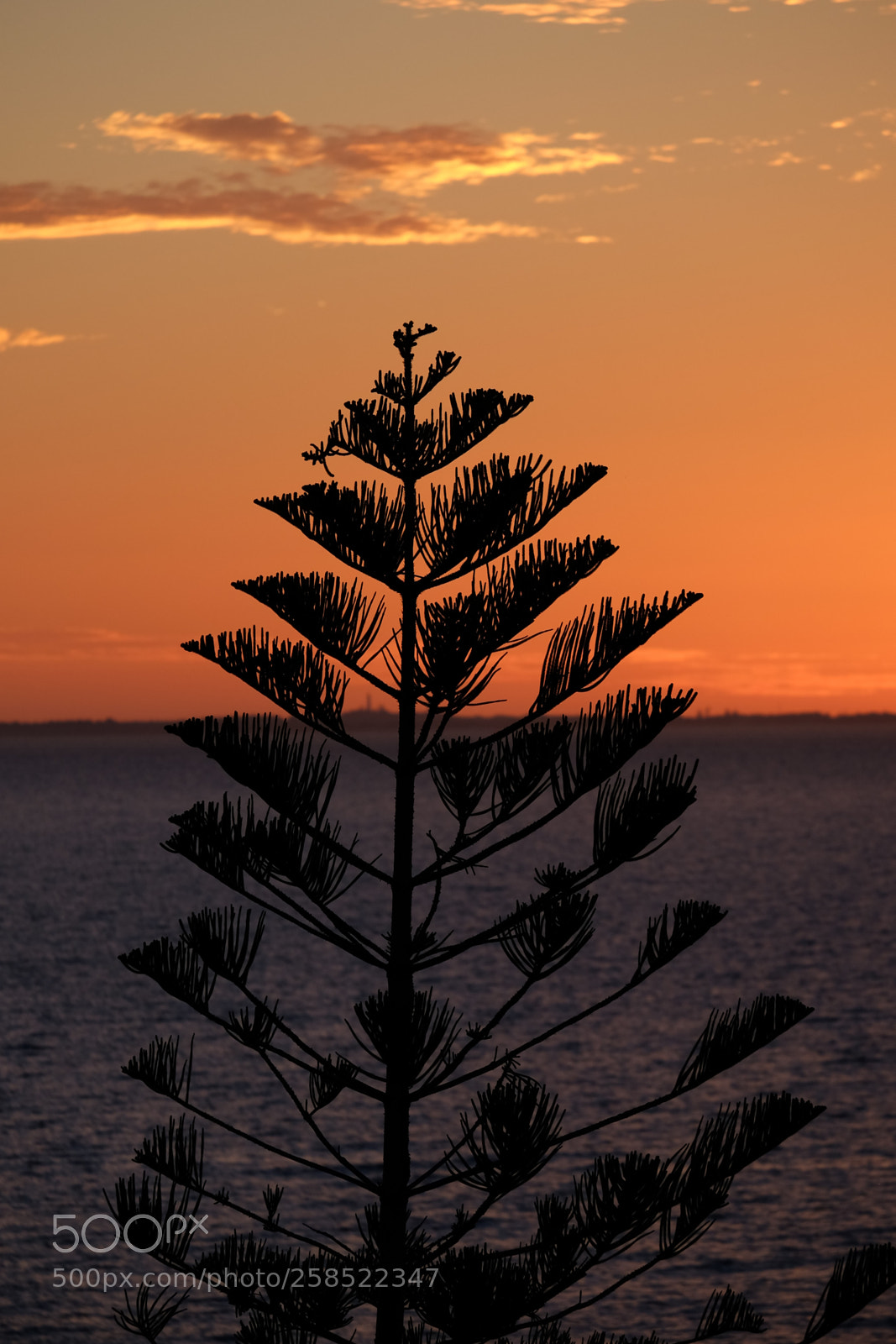 Fujifilm X-M1 sample photo. Australian sunset photography