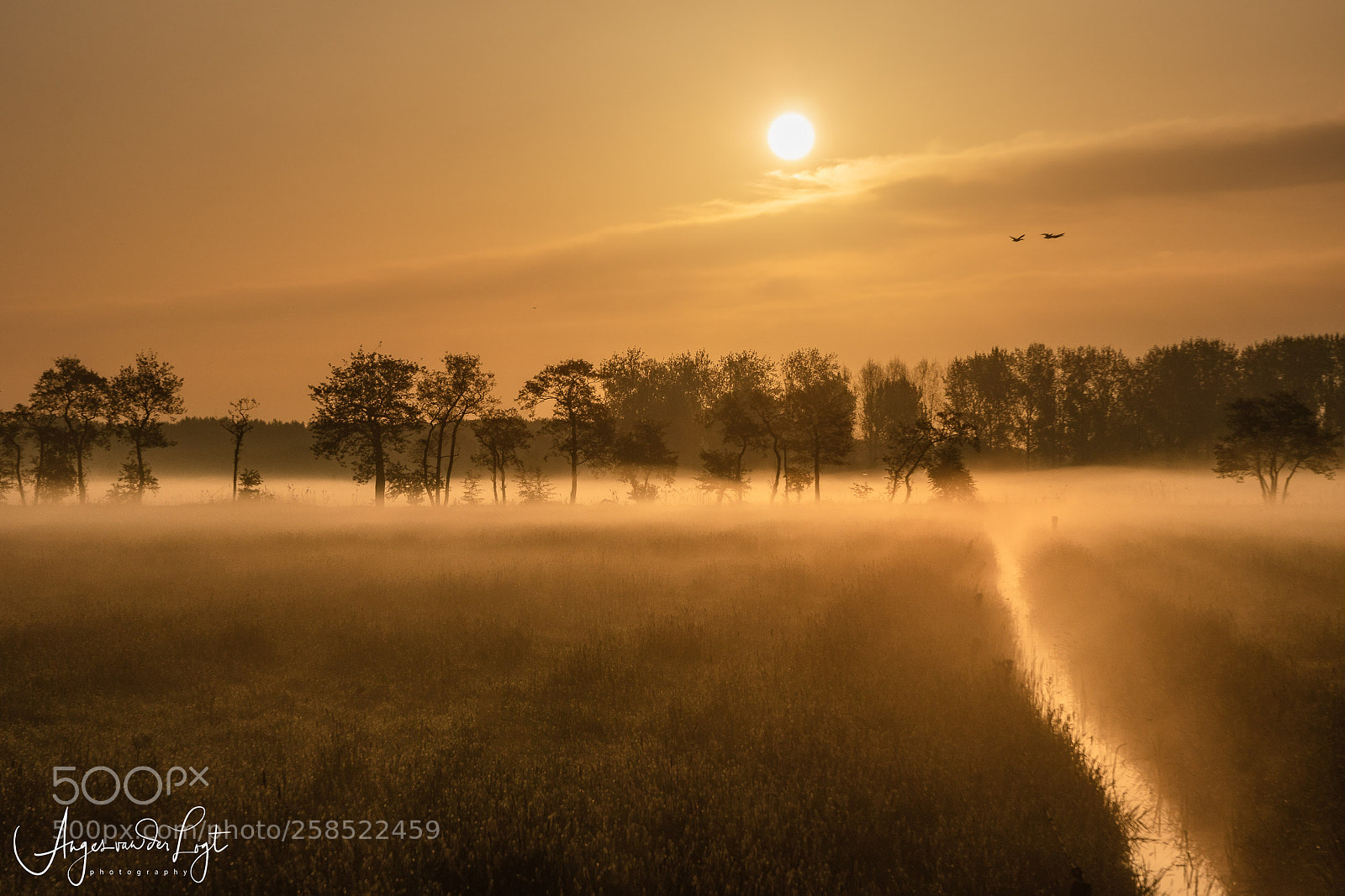 Sony a6300 sample photo. After sunrise in the photography