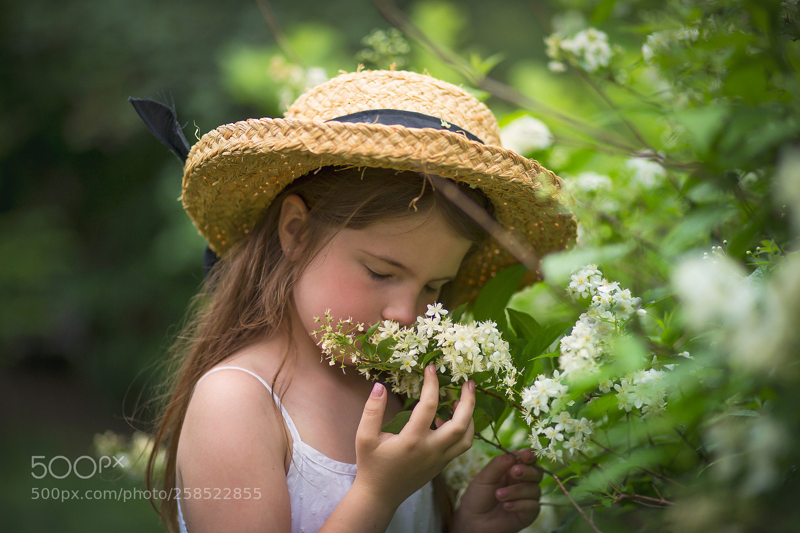 Canon EOS 6D sample photo. Spirit of spring photography